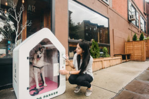 DogParker Brooklyn July 2016